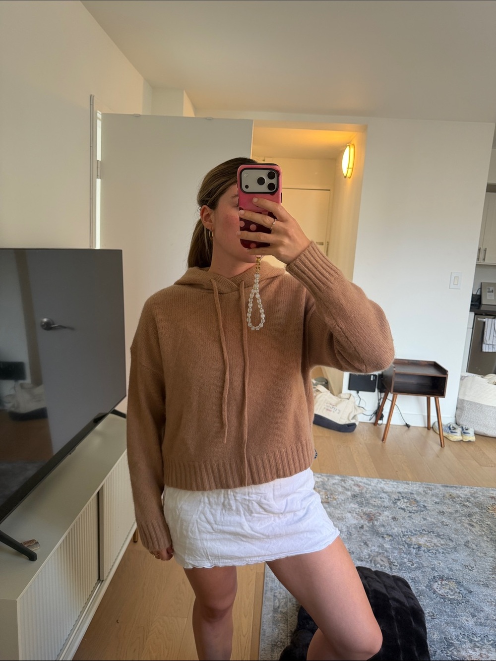 Aritzia Cashmere Hooded Sweater in Camel